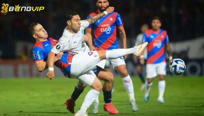 Soi kèo Bolivar vs Cerro Porteno 29/05 Copa Libertadores Nhận định kèo chuẩn từ chuyên gia số 1 thị trường