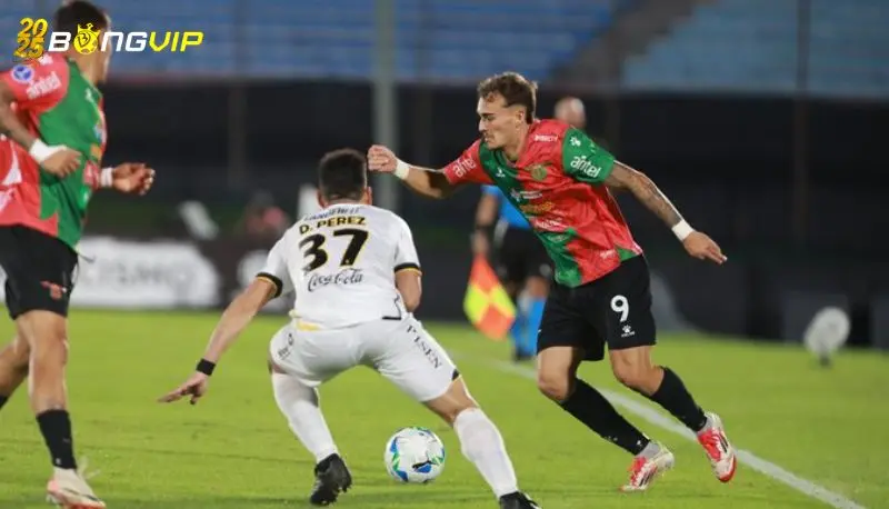 Soi kèo Guarani vs Boston River 29/05 Copa Sudamericana Phong độ Guarani tại soi kèo Guarani vs Boston River
